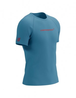 Compressport Training SS Logo Tshirt M Unisex Majice Plave | 934-POLZYU