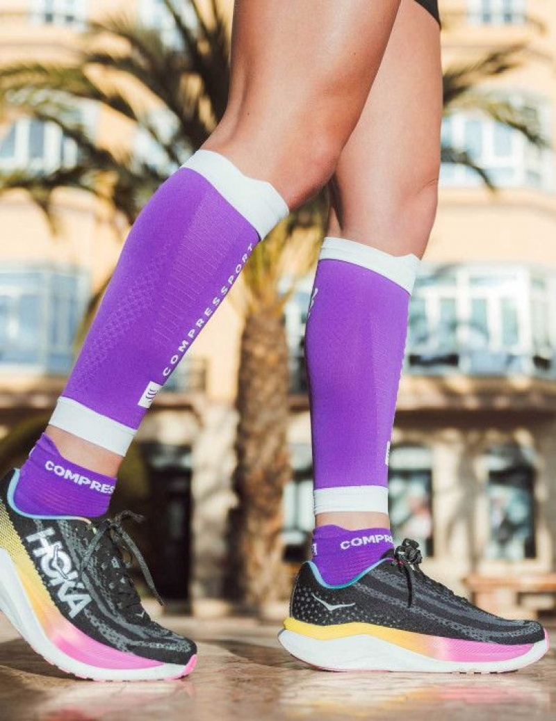 Compressport Pro Racing Socks v4.0 Run Low Muške Čarape Za Trčanje Ljubičaste Bijele | 109-TXUONE