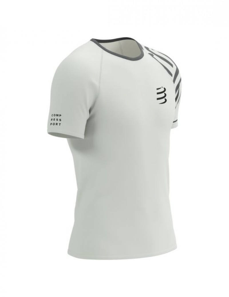 Compressport Training SS Tshirt M Muške Majice Visebojne | 869-QKPILC